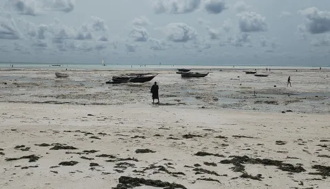 Zanzibar - Umjesto razglednice - Gabrijela IvankovićPrivatni album