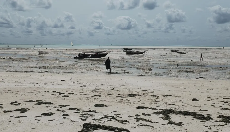 Zanzibar - Umjesto razglednice - Gabrijela IvankovićPrivatni album