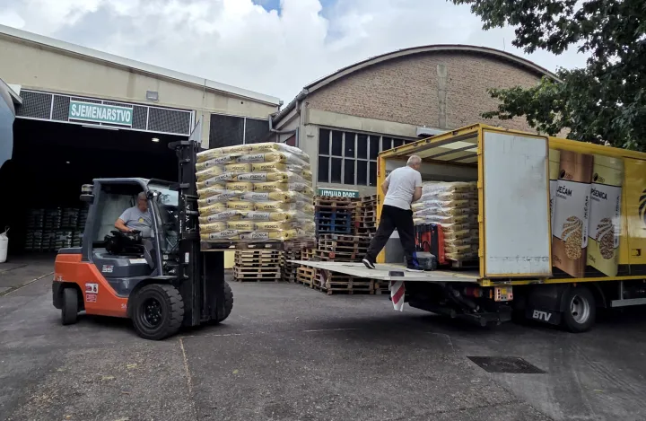 Žito grupa, pšenica, sjeme, sjetva