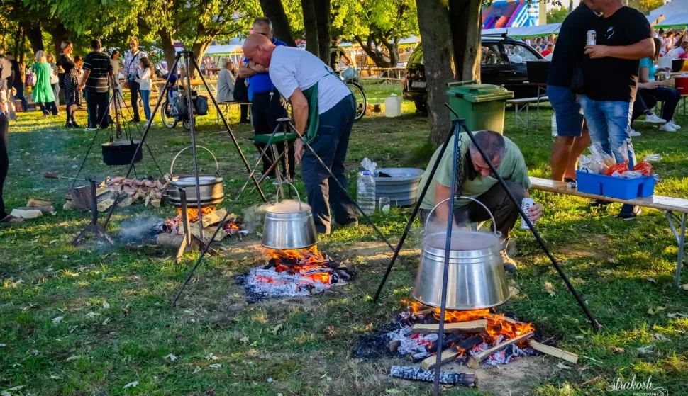 Ususret “Čepinskim suncokretima”: Primaju se prijave izlagača i kuhara