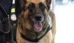 Osijek, 11. 09. 2025., GC, Međunarodni sajam sigurnosti i obrane; DEFCROS 2, DEFCROS, oružje, obrana, naoružanje, pas; policijski pasSNIMIO BRUNO JOBST