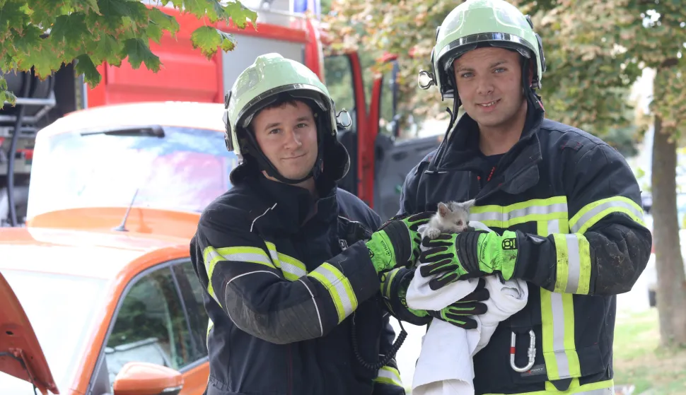 Osijek, 17. 09. 2025, Divaltova ulica oko broja 224... Tehnička intervencija JVP Osijek. Vatrogasci su spa&scaron;avali malu macu koja se uvukla u podvozije automobila mlade sugrađanke I. G. iz Osijeka. Priča je počela jo&scaron; na ulici Sv. Leopolda Mandića u blizini Inetrspara kada se vozačica zustvila u koloni i jedan sugrananin je poku&scaron;ao spasiti malu macu s ceste i tom prilikom maca se uvukla u podvozije alutomobila I.G. Zausavljajući se na prkirali&scaron;tu vozačica je začula mijaukanje koje je dopiralo iz podvozija auta&nbsp;... Tu su uskočili vatrogasci JVP Osijek i nakon uspje&scaron;ne akcije spasili malu macu koju je na kraju udomila jedna anonimna ali humana osječanka.....Nakon sati i pol ratavljanja podvozija automobila i poku&scaron;aja istjerivanja vodom male mace. Akcija je okončana happy endom.snimio GOJKO MITIĆ