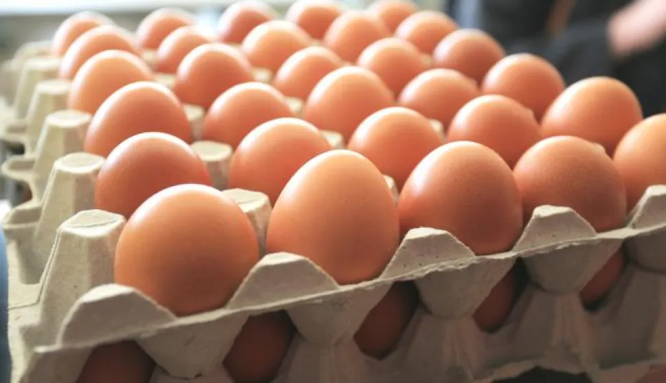 24.11.2016., Osijek - U jeku afere s mesom i salmonelom sve vise kupaca okrece se domacim proizvodjacima. Photo: Davor Javorovic/PIXSELL------3 stupca colornovosti