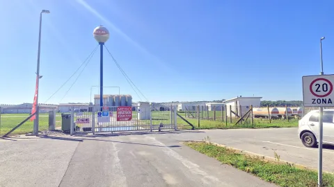 Svinjogojska farma Sokolovac - Belje plus