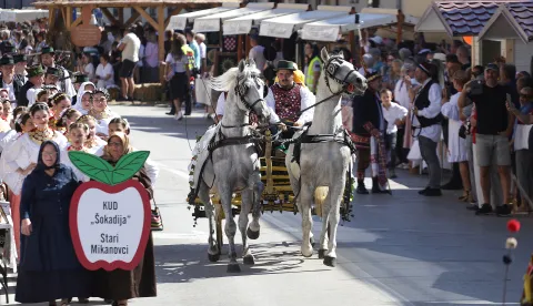 Vinkovci, 21. 09. 2025., Vinkovačke jeseni, 60. Vinkovačke jeseni, jubilarne 60. Vinkovačke jeseni, mimohodSNIMIO BRUNO JOBST