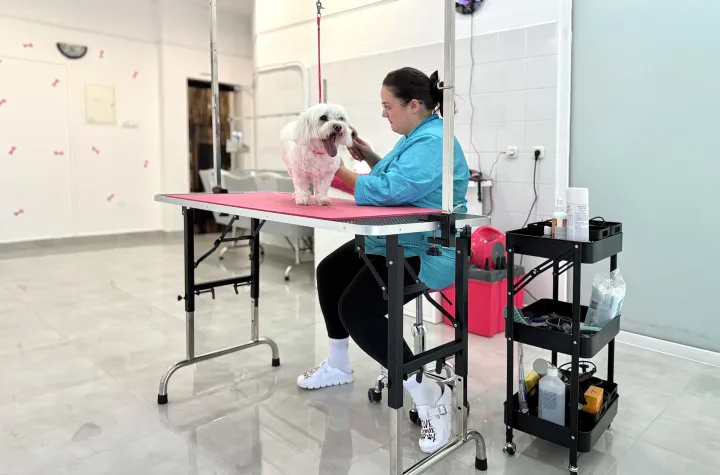 Osječanka Emanuela Blažević radi posao koji je još od srednje škole željela i potvrđuje da uživa u njemu