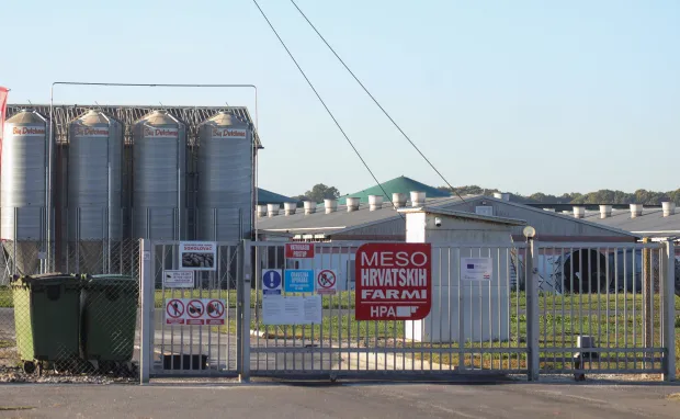 21.09.2025., Sokolovac - Na farmi Sokolovac, koja je u vlasnistvu Belja, bit ce usmrceno 11.600 svinja zbog pojave africke svinjske kuge. Photo: David Jerkovic/PIXSELL