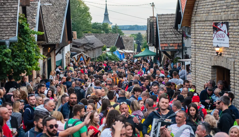 Vinski maraton - Zmajevac