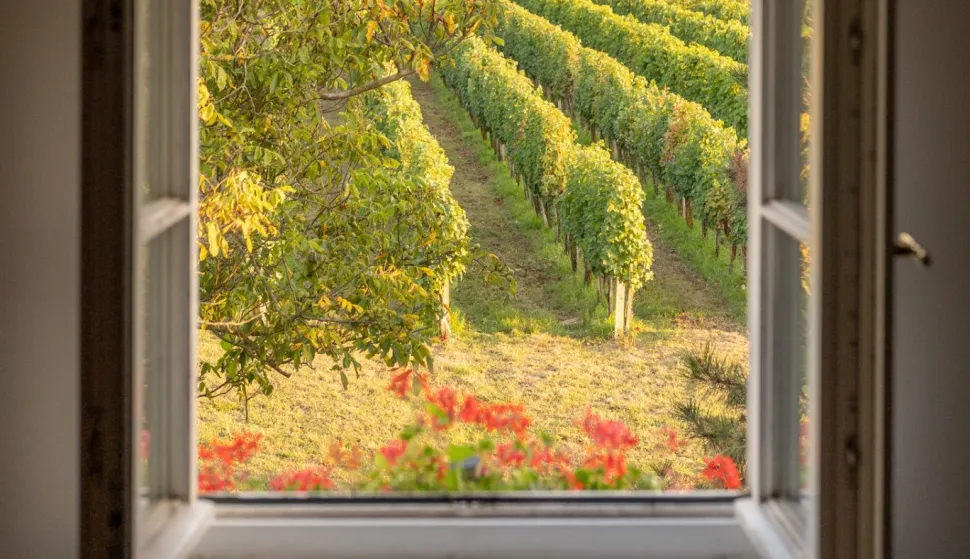 Vinarija K55 - Vinska šetnja muzejima