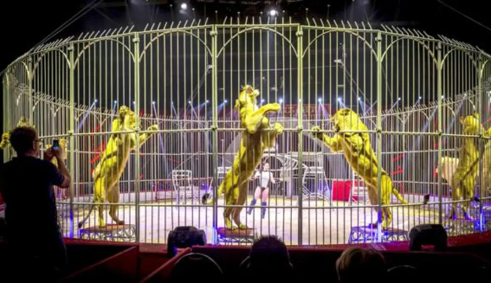 epa04535156 French tamer Namayca Bauer performs with lions during a general rehearsal prior to the premiere of the Ahoy Kerstcircus (Ahoy Christmas circus) in Rotterdam, The Netherlands, 19 December 2014. Dutch State Secretary of the Ministry of Economic Affairs Sharon Dijksma has forbidden the use of wild mammals in circuses in The Netherlands from 15 September 2015 on. EPA/LEX VAN LIESHOUT