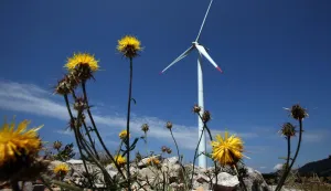 12.08.2014., Senj - Vjetroelektrana Vratarusa nalazi se u blizini Senja na obroncima Velebita nedaleko Vratnika. Vjetroelektrana je izgradjena 2009., ali je dobila sve dozvole i u punom pogonu je od sijecnja 2011., zbog dugog perioda probnog pogona. To je ujedno i prva vjetroelektrana u Hrvatskoj prikljucena na prijenosnu mrezu, na 110 kV. Isto tako je trenutno i najveca hrvatska vjetroelektrana sa ukupno instaliranih 42 MW. Sastoji se od 14 Vestasovih vjetroagregata V90 pojedinacne nazivne snage 3 MW. Promjer lopatica vjetroagregata je 90 metara, a visina osi 80 metara.r"nPhoto: Robert Anic/PIXSELL