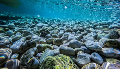 27.07.2025., Vela Luka - Podmorje juzne strane otoka Korcule. Photo: Zvonimir Barisin/PIXSELL