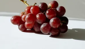 grožđe grozd