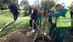 Zagreb, 01.10.2025 - U povodu obilježavanja Međunarodnog dana starijih osoba, Hrvatski zavod za javno zdravstvo (HZJZ) organizirao je prigodnu sadnju sitnolisne lipe. Na fotografiji ravnatelj HZJZ-a Krunoslav Capak.foto HINA/ Denis CERIĆ /dc