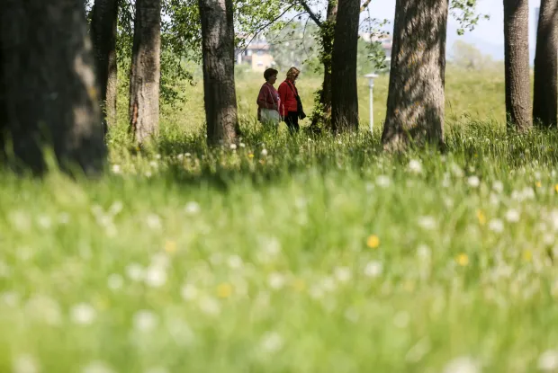 22.04.2020., Zagreb - Ilustracija za Dan planeta Zemlje. Photo: Marin Tironi/PIXSELL.