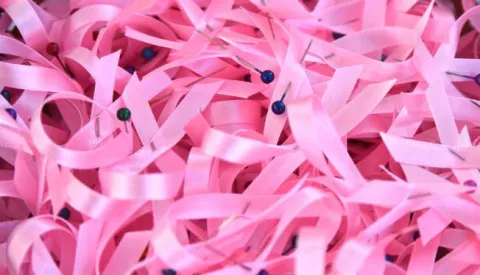 07.10.2017., Pula - Na Gradskoj trznici odrzana je humanitarna akcija "Dan ruzicaste vrpce". Photo: Dusko Marusic/PIXSELL------x3