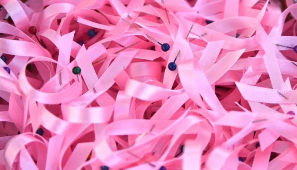 07.10.2017., Pula - Na Gradskoj trznici odrzana je humanitarna akcija "Dan ruzicaste vrpce". Photo: Dusko Marusic/PIXSELL------x3