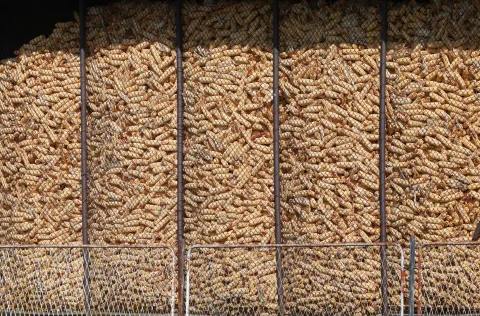 Osijek, 31. 03. 2025., kukuruz, ambar, ambar za kukuruz, poljoprivreda, detalj, ilustracija, slobodnjak, slobodnjaciSNIMIO BRUNO JOBST