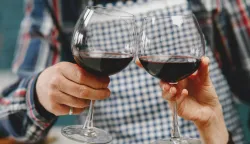 MAGAZIN PEXELSPHOTO BY Gustavo Fring