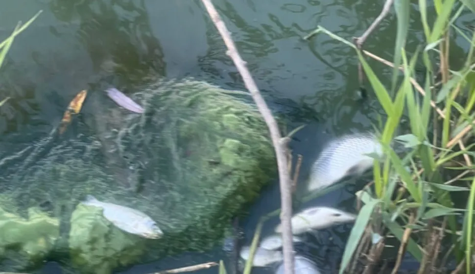 Đakovo, KuševacVoda Bazen - Jošava,Listopad 2025.