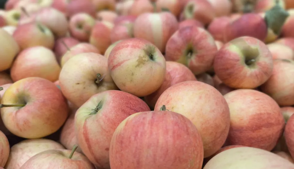 rdc, treća sezona, jabuka, skladi&scaron;te, hladnjača, kolovoz 2025.