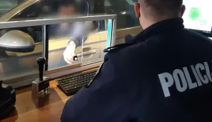 Granični prijelaz Slavonski Brod, štambilji, putovnice, putovnica, kontrola, granica, ilustracija, policija