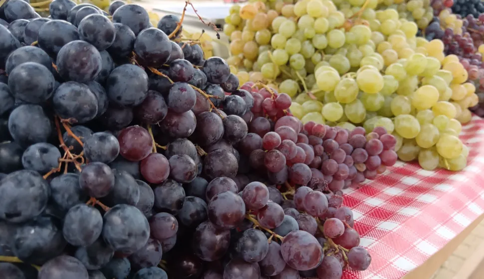 Berbene svečanosti Batina 2025.