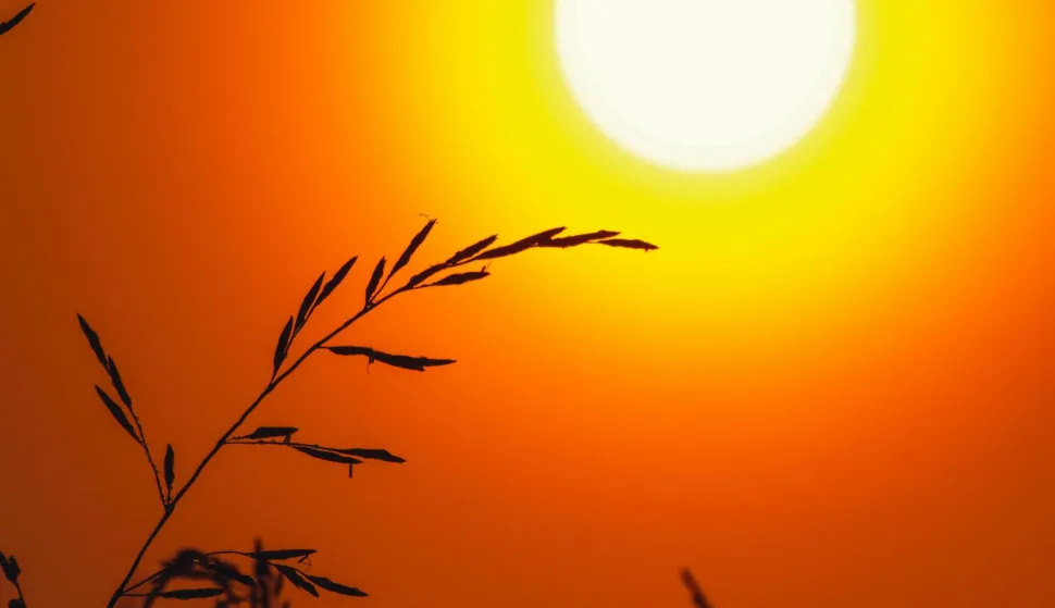 MAGAZIN PEXELSPHOTO BY Anton Kudryashov