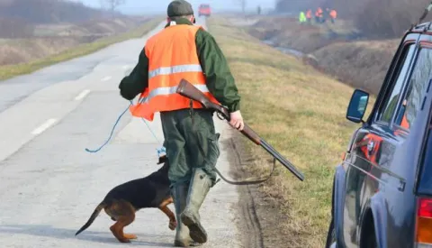 07.02.2016., Davor - Lovci u akciji odstrela cagljeva koji su se zadnjih godina nekontrolirano namnozili i unistavaju svu divljac, srne, kosute, zeceve, a nerijetko se priblizavaju i seoskim dvoristima u potrazi za hranom i love domace zivotinje. Lovci se pribojavaju da bi copori cagalja lako mogli napasti cak i ljude, djecu, pa je akcija i te kako opravdana. Prije ih na ovom podrucju nije bilo pa pretpostavljaju da su za iznimnmo niska vodostaja Save proteklih godina u potrazi za hranom dosli iz Bosne.Photo: Ivica Galovic/ PIXSELL------kolor 4x novosti