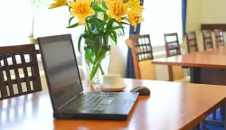 uređenje doma, cvijeće