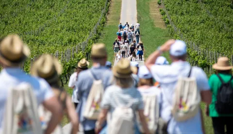 Turistički rast Osječko-baranjske županije: Bit će srušen i lanjski rekord, brojke magične