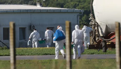 22.09.2025., Sokolovac - Pripreme i osiguranje farme svinja zbog pocetka usmrcivanja zarazenih svinja africkom svinjskom kugom. Photo: Davor Javorovic/PIXSELL