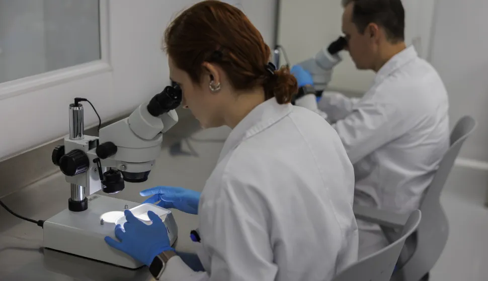 epa12422261 People work in a laboratory of the British biotechnology company Oxitec, in Campinas, Brazil, 01 October 2025. Oxitec operates the world's largest factory of mosquitoes infected with the Wolbachia bacteria to combat dengue, ready to begin operations in the Brazilian state of S?o Paulo. EPA/Isaac Fontana