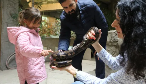 Osijek, 18. 10. 2025, Zoo vrt Osijek, Dan gmazova, radionice.snimio GOJKO MITIĆ