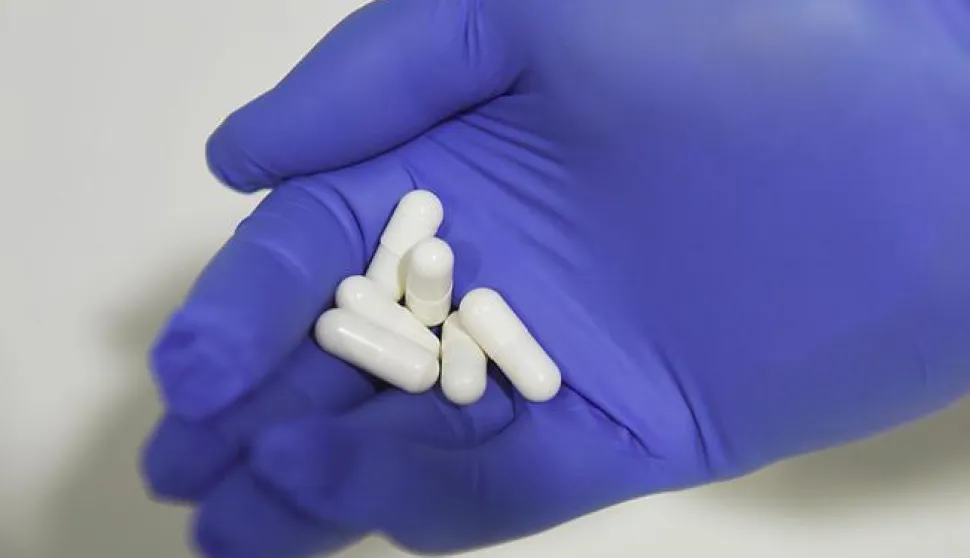 epa05661741 A picture made available on 06 December 2016 shows a view of the medicinal cannabis to be used in a clinical trial to treat cancer sufferers at Royal Prince Alfred Hospital in Sydney, New South Wales (NSW), Australia, 05 December 2016. Doctors are recruiting cancer patients in a world-first medicinal cannabis trial in NSW for the prevention of chemotherapy-induced nausea and vomiting (CINV). EPA/MICK TSIKAS AUSTRALIA AND NEW ZEALAND OUT