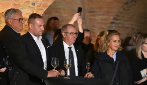 Vukovar, 18.10.2025. - Potpredsjednik Vlade i ministar poljoprivrede, šumarstva i ribarstva David Vlajčić otvario Dane meda u podrumskim prostorijama Dvorca Eltz, nakon otvorenja dane su izjave za medije. foto HINA/Gordan Panić