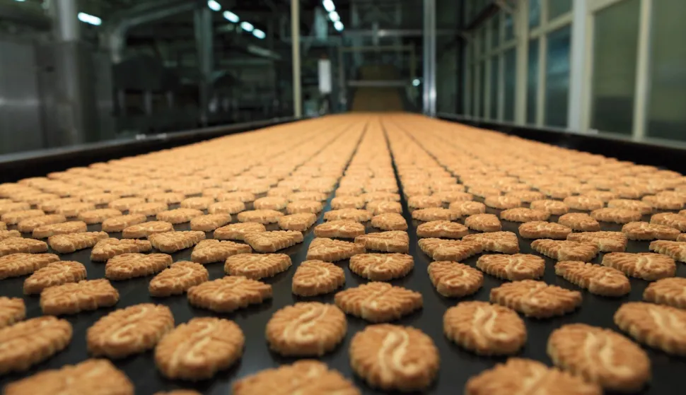 DOMAĆICA KEKS KRAŠ POGON PROIZVODNJA