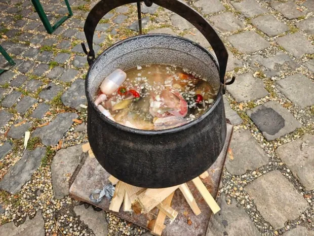 Mladi Baranjci s Dunava skuhali su pobjednički fiš