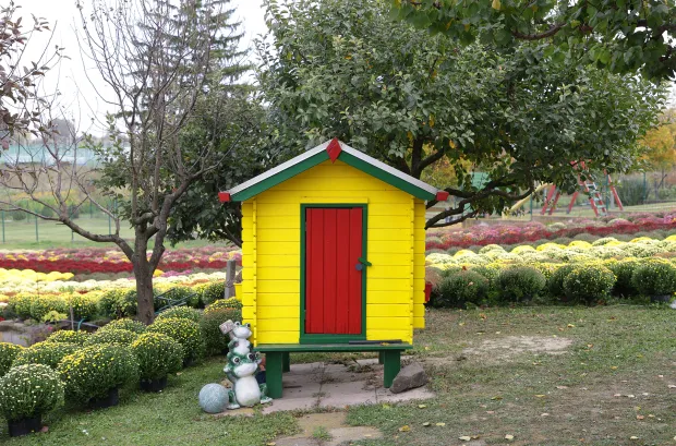 Osijek, 21. 10. 2025., Šandora Petefija 42, OPG Grabrović, Damir Golik, Svi sveti, cvijeće, krizanteme, krizantema, uzgoj cvijeća, uzgoj,  SNIMIO BRUNO JOBST