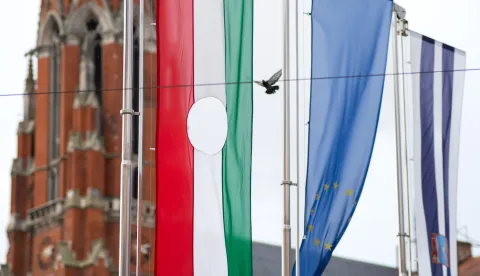 Osijek, 23. 10. 2025., Obljetnica mađarske revolucije 1956.mađarska revolucija; obljetnica; podizanje zastave; zastava; simbol revolucije; rupa