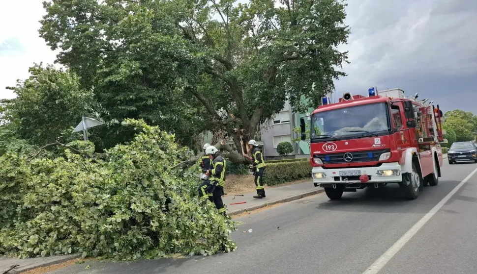 Nevrijeme u Vukovaru, 7. srpnja 2025. porušilo je nekoliko stabala u gradu