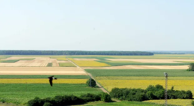 Poljoprivredne povr&scaron;ine