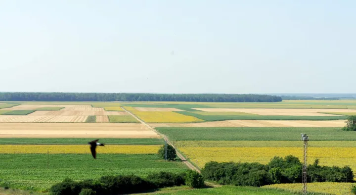 Poljoprivredne povr&scaron;ine