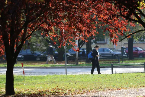 Osijek, 28. 10. 2024, Jeseski dan u Parku Svetišta Srca Isusova, Gajev Trg. Slobodnja.snimio GOJKO MITIĆ
