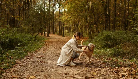 &scaron;etnja psa u jesen
