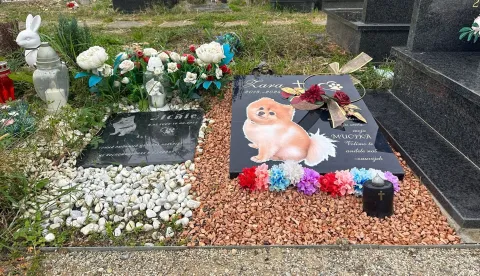 Počivalište kućnih ljubimaca Spomengaj