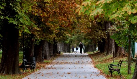 Osijek, 29. 09. 2021, Perivoj Kralja Tomislava, drvored i setnica uz teniske terene. Jesen, setnja. Slobodnjak.snimio GOJKO MITIC