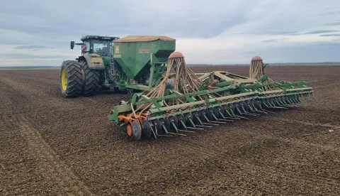 Sjetva na slavonsko-baranjskim poljima, jesen 2024