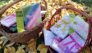 Belišće - Knjižnica, studeni 2025.