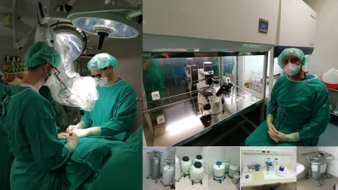 ROONA - zaklada adris